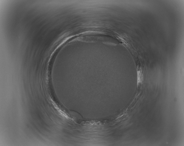 X0000078880243200611131250