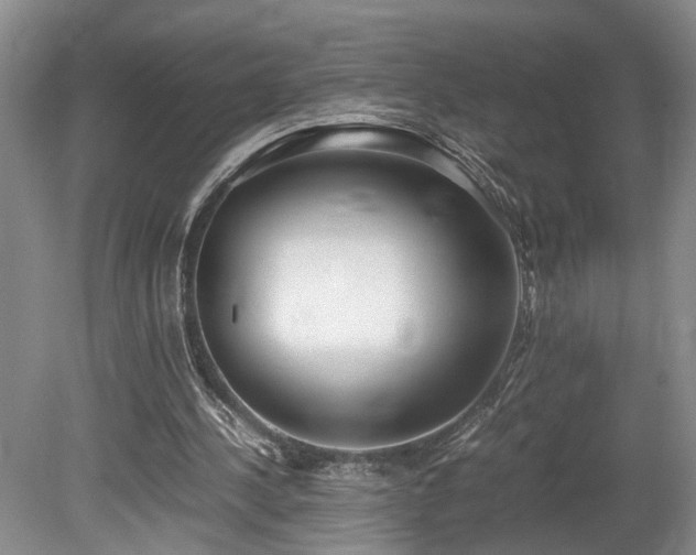 X0000078880244200611131250
