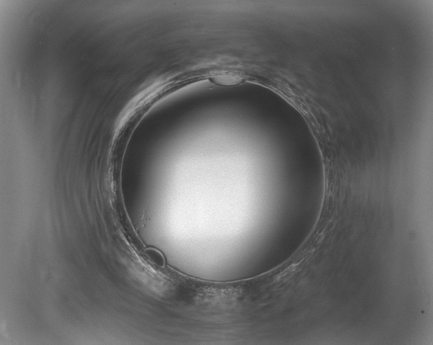 X0000078880245200611131250