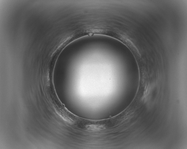 X0000078880251200611131250