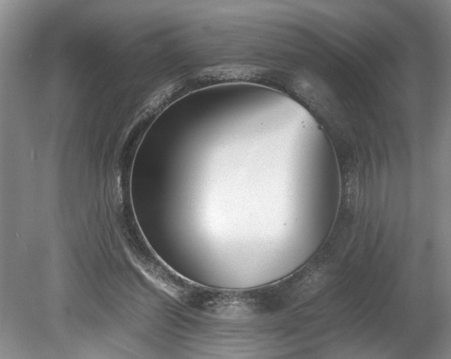 X0000078880254200611131250