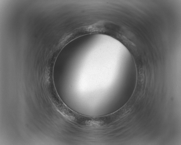 X0000078880255200611131250