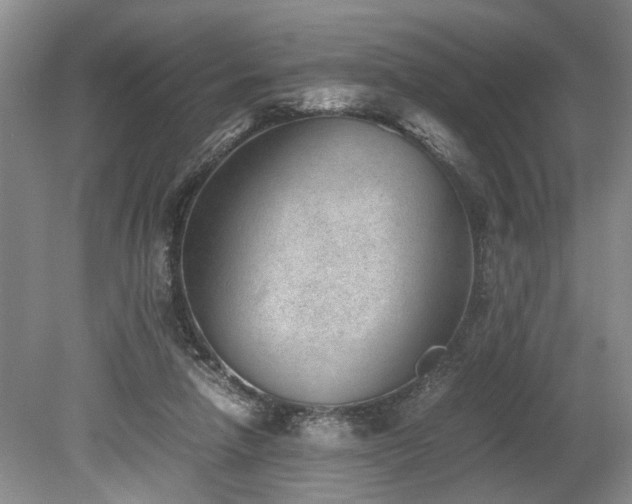 X0000078880258200611131250