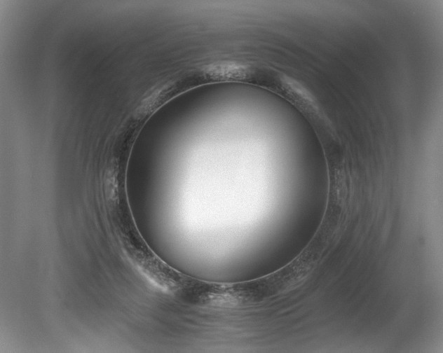 X0000078880259200611131250