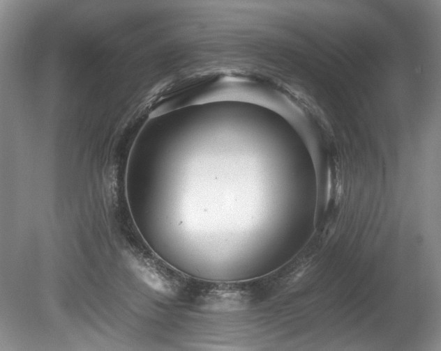 X0000078880260200611131250