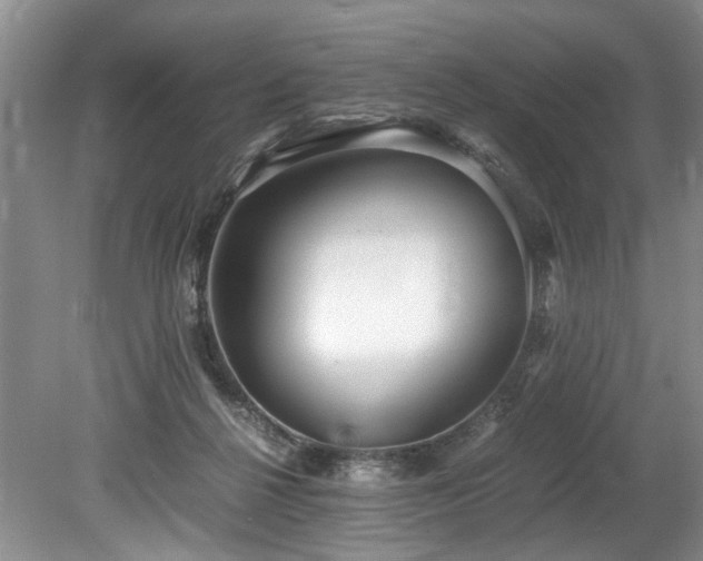 X0000078880264200611131250