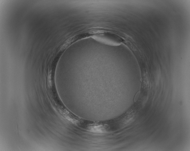 X0000078880267200611131250