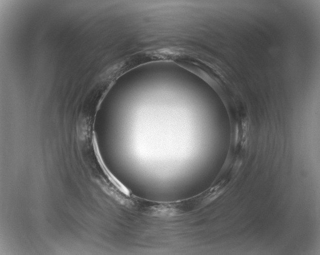 X0000078880284200611131251