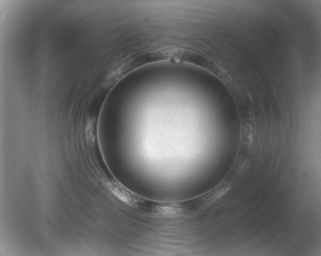 X0000078880286200611131251