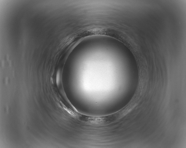 X0000078880288200611131251