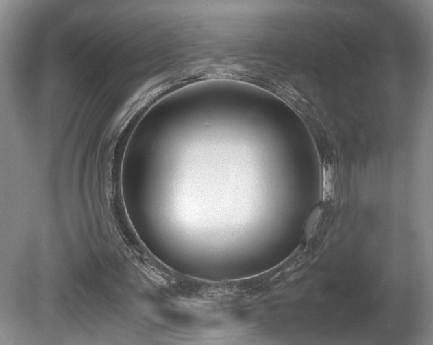 X0000078880291200611131250