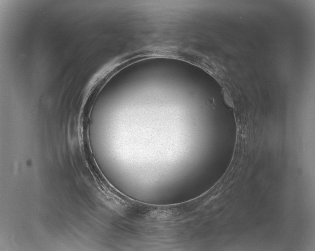 X0000078880294200611131250
