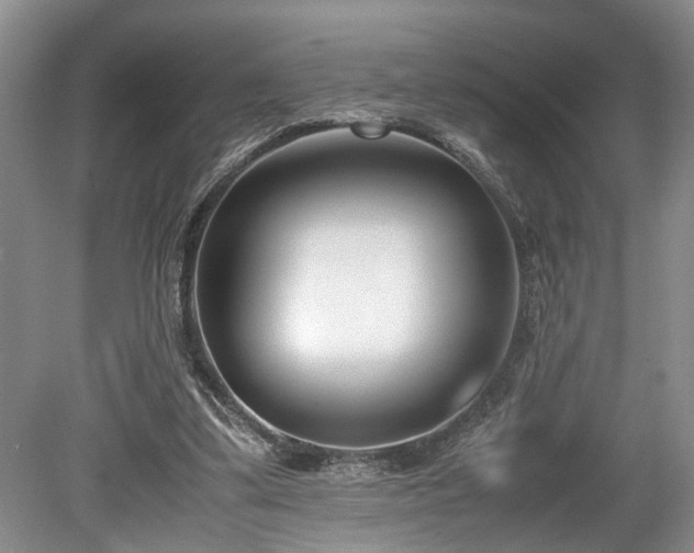 X0000078880299200611131250