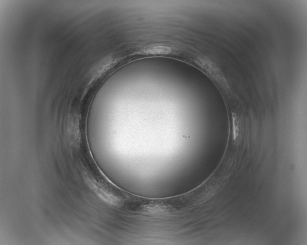 X0000078880300200611131250
