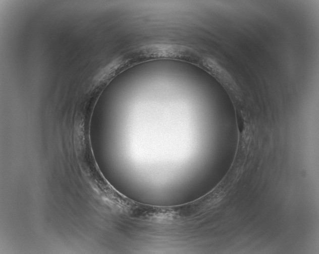 X0000078880306200611131250