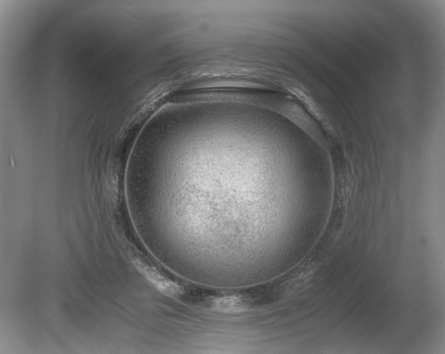 X0000078880309200611131250