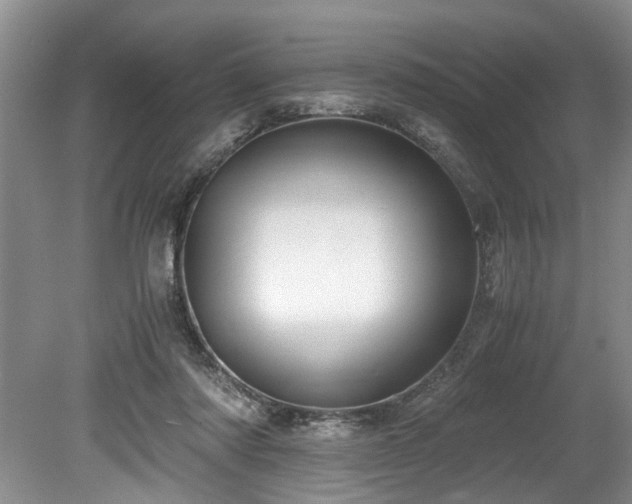 X0000078880310200611131250