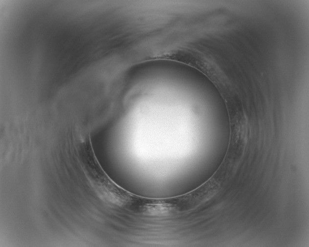 X0000078880316200611131249
