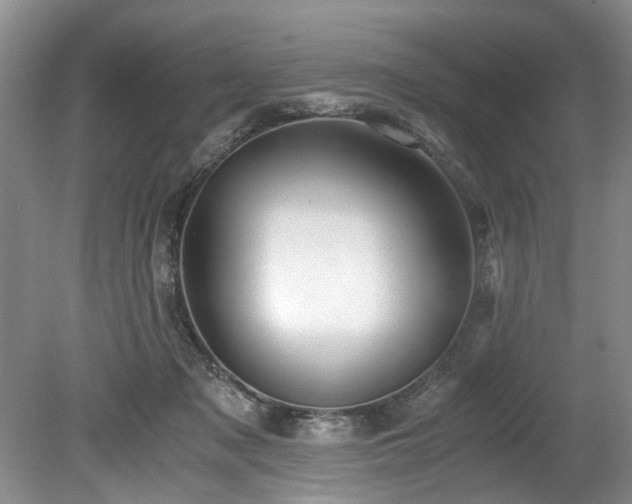X0000078880317200611131249