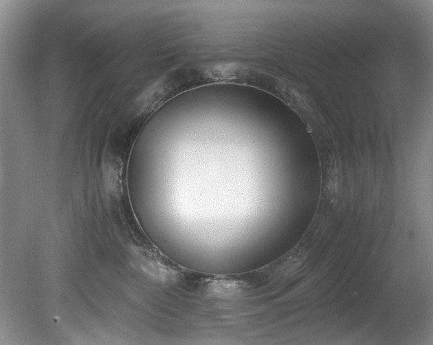 X0000078880332200611131249