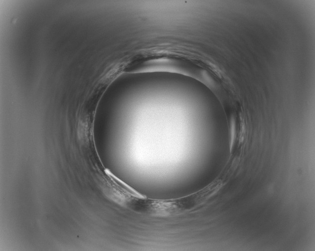 X0000078880333200611131249