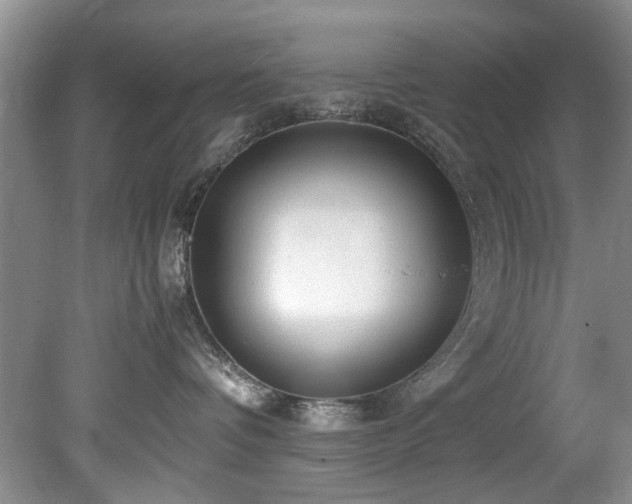 X0000078880336200611131249