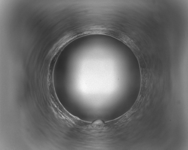 X0000078880338200611131248