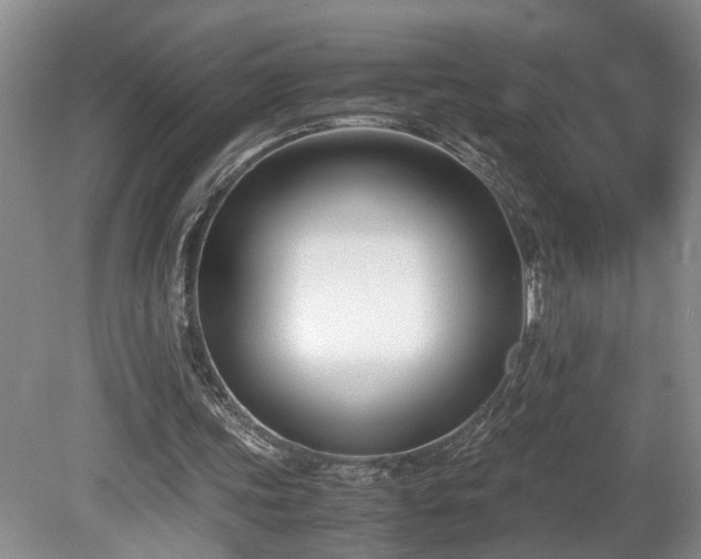 X0000078880339200611131248