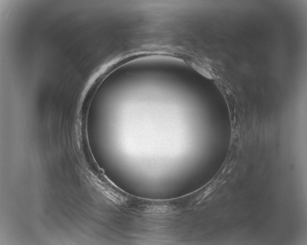 X0000078880342200611131248