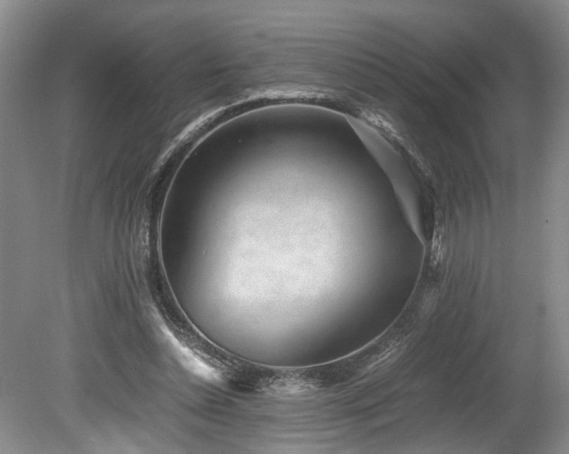 X0000078880348200611131248