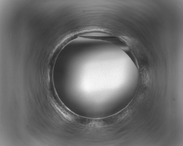 X0000078880350200611131249