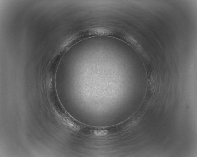 X0000078880355200611131249