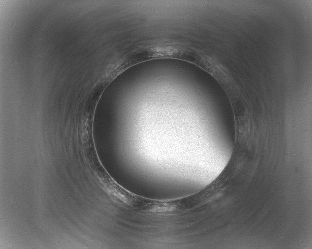 X0000078880369200611131249