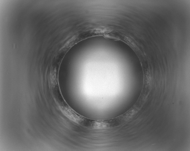 X0000078880376200611131249