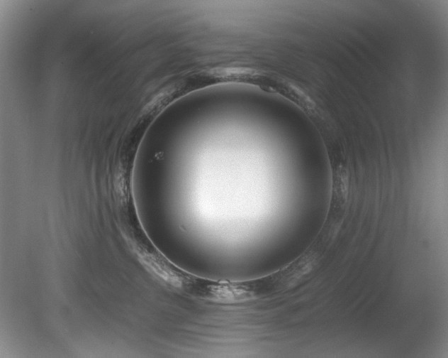 X0000078880380200611131249