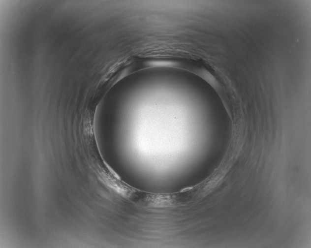 X0000078880384200611131249