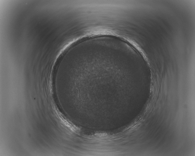 X0000078880391200611131248