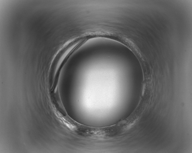 X0000078880395200611131248
