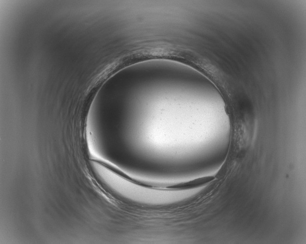 X0000078880397200611131248