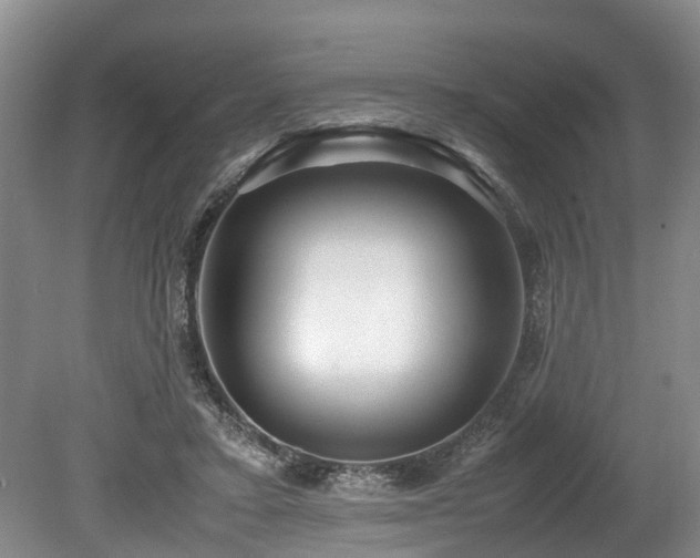 X0000078880403200611131248