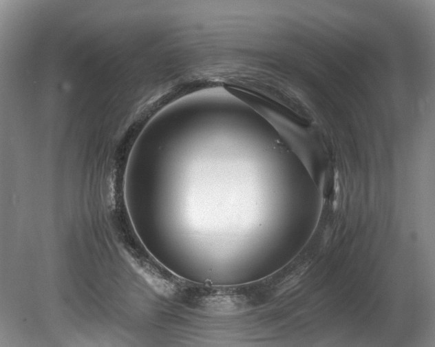 X0000078880404200611131248