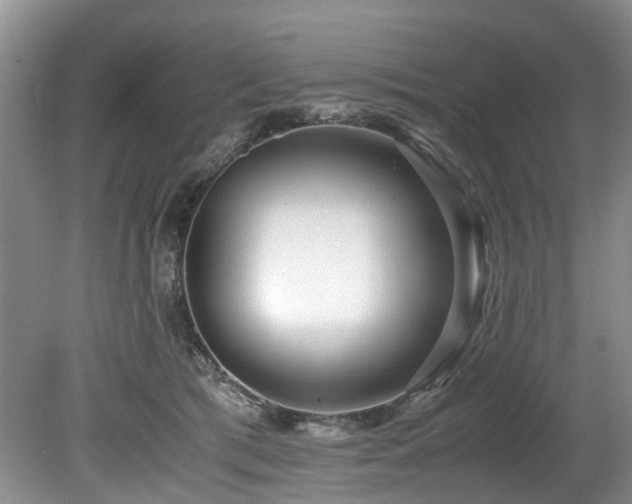 X0000078880417200611131248