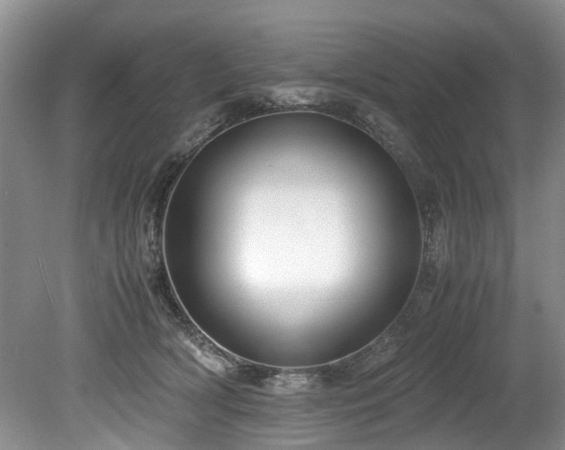 X0000078880418200611131248