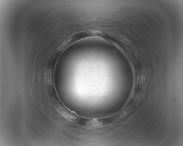 X0000078880421200611131248