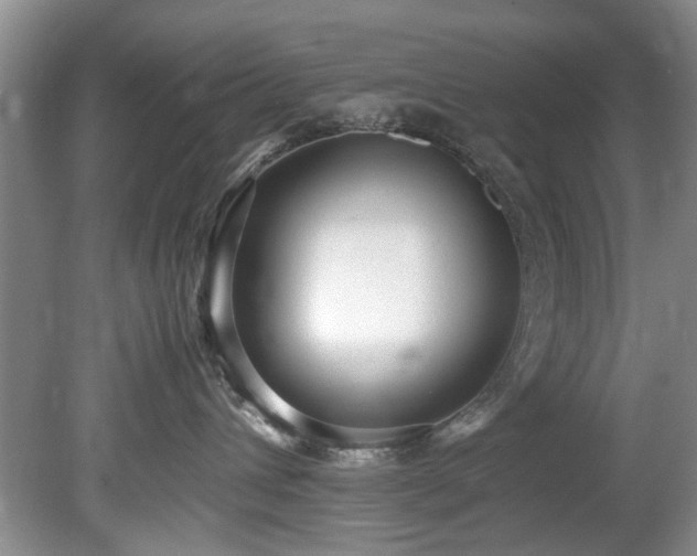 X0000078880432200611131247