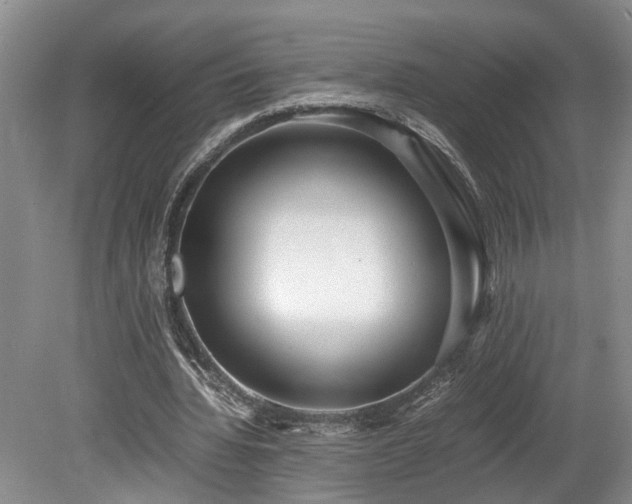 X0000078880436200611131247