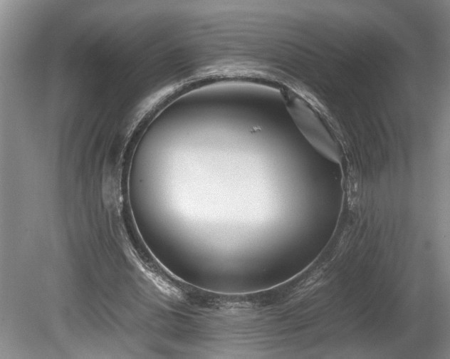 X0000078880438200611131247