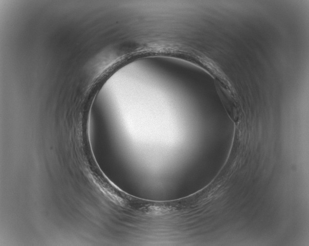 X0000078880442200611131247
