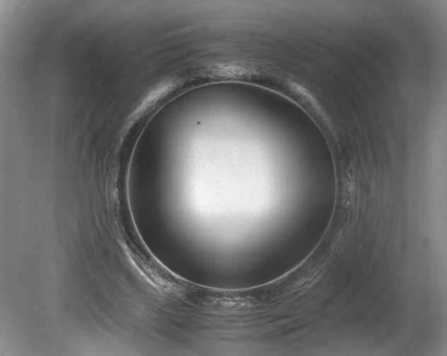 X0000078880443200611131247