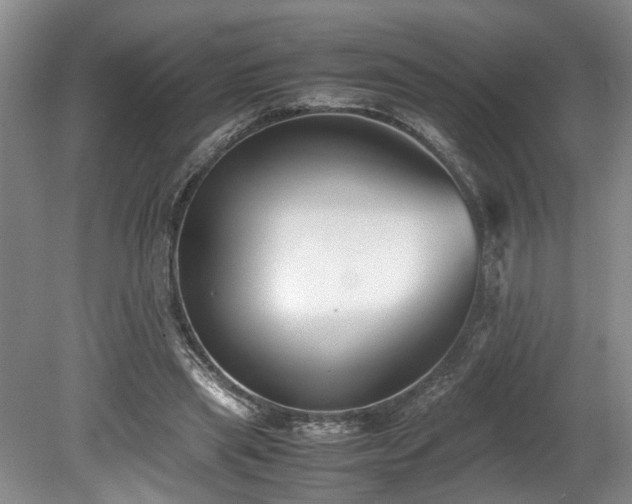 X0000078880445200611131247